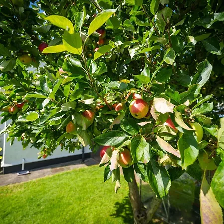 Apple Byrd - Short Stroll Into Town Centre * Kendal