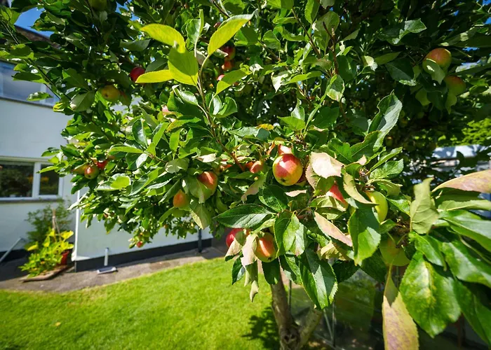 Apple Byrd - Short Stroll Into Town Centre * Kendal